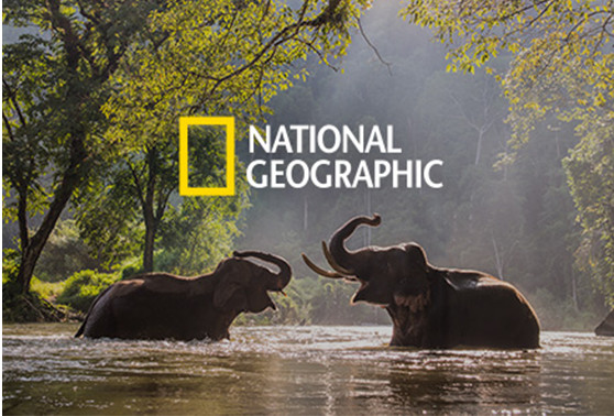 National Geographic Social Media